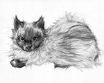 QQ graphite.jpg