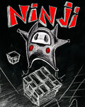 Ninji in night.jpg