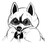 raccoon.jpg